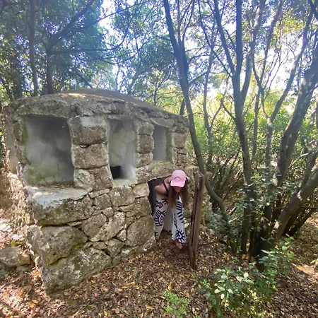 Masseria Noja Noci